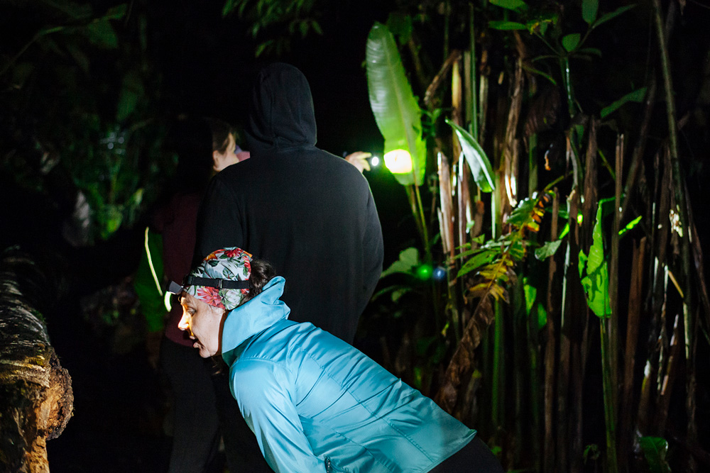 nocturnal wonders in the Ecuadorian Amazon