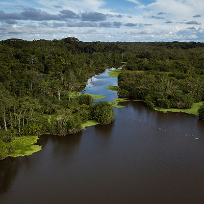 Jatuncocha river view