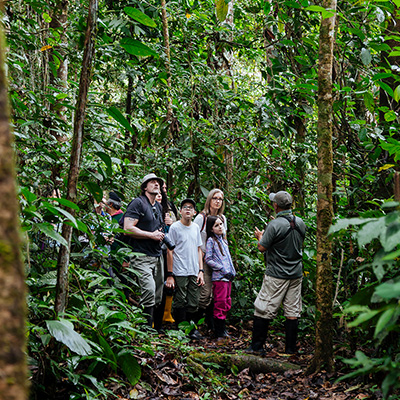 excursion through Amazonian rainforest
