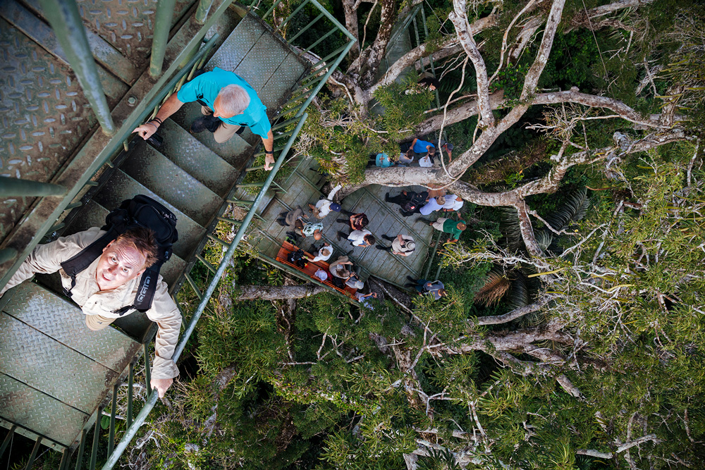 Discovering the Marvelous Rainforest