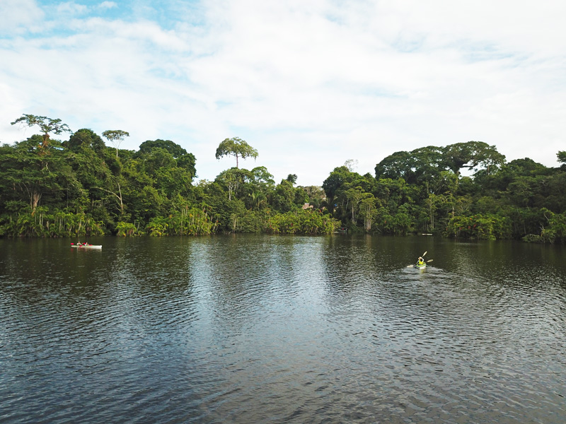 Kayak en Pañacocha