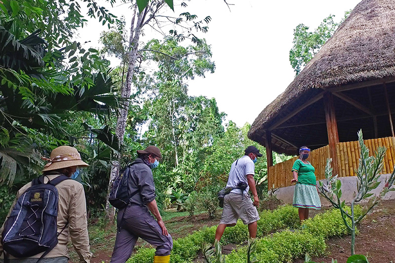 Tourist in the Amazon