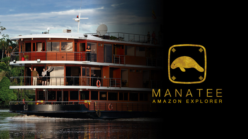 Manatee luxury amazon explorer cruise